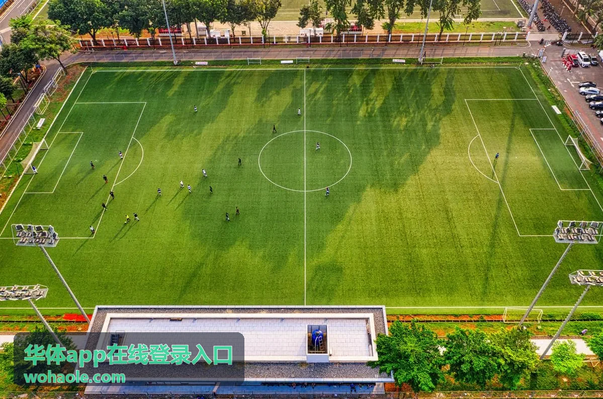 华体app在线登录入口常见问题说明页