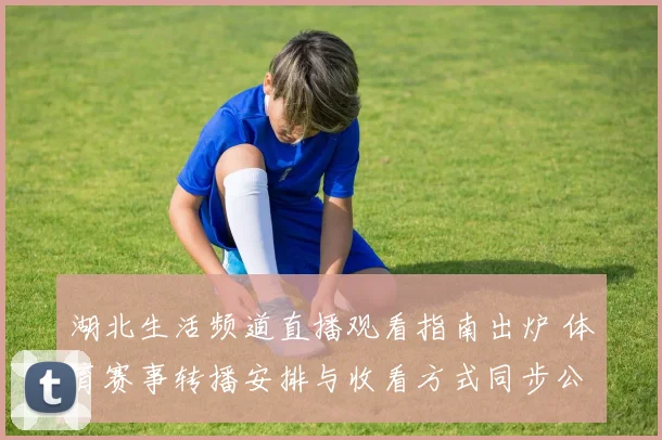 湖北生活频道直播观看指南出炉 体育赛事转播安排与收看方式同步公布