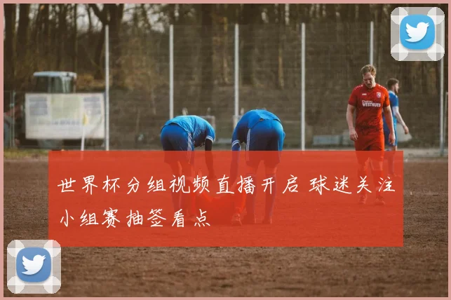 世界杯分组视频直播开启 球迷关注小组赛抽签看点