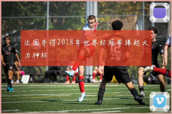 法国夺得2018年世界杯冠军捧起大力神杯