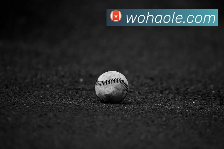 买球官方品牌故事