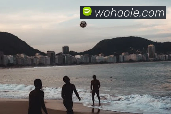 买球官方服务体系