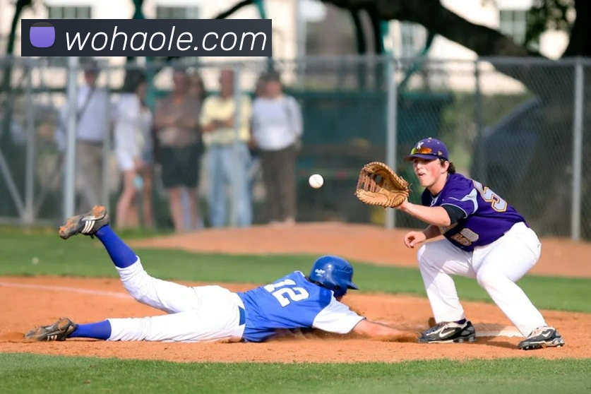 多媒体互动体验