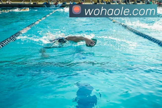 买球官方APP 体育赛事宣传图