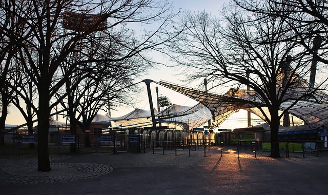仅展示了顶