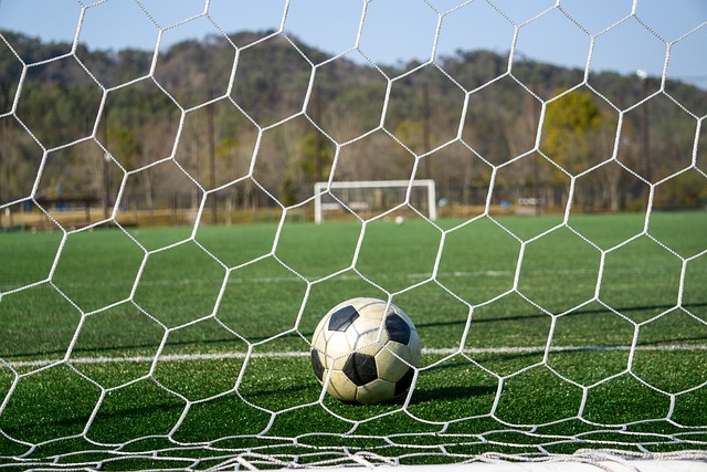 的美好展望 的美好展望