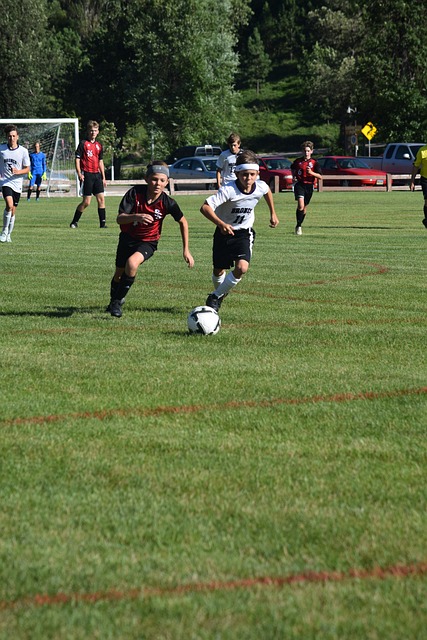 一支球队的 一支球队的