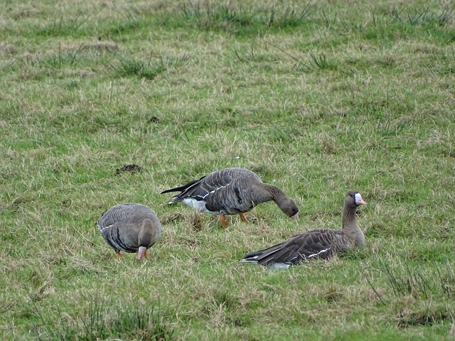 进展如何 进展如何