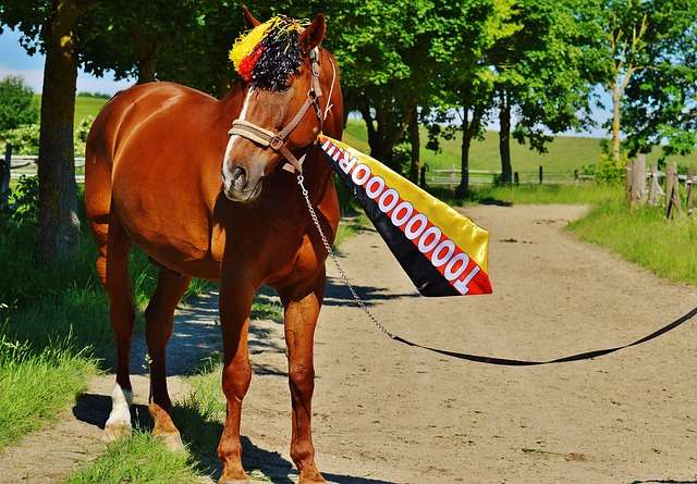 和团队的合 和团队的合