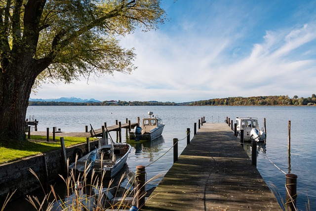 这届冬奥会 这届冬奥会
