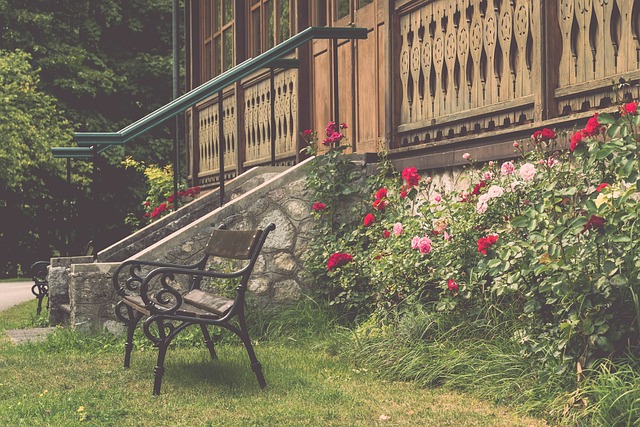 前锋或加强 前锋或加强