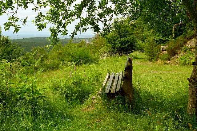的较量可谓 的较量可谓